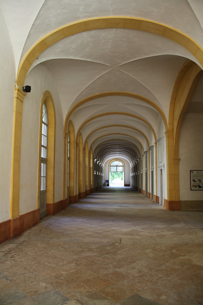 Abbaye de Cluny (71)