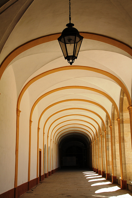 Abbaye de Cluny (71)