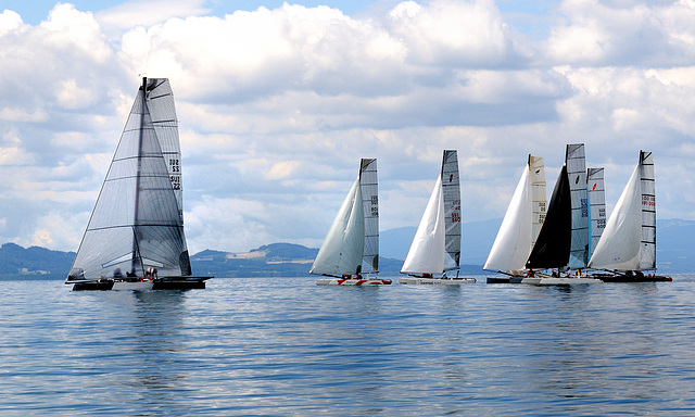 Régate Voile d'Or