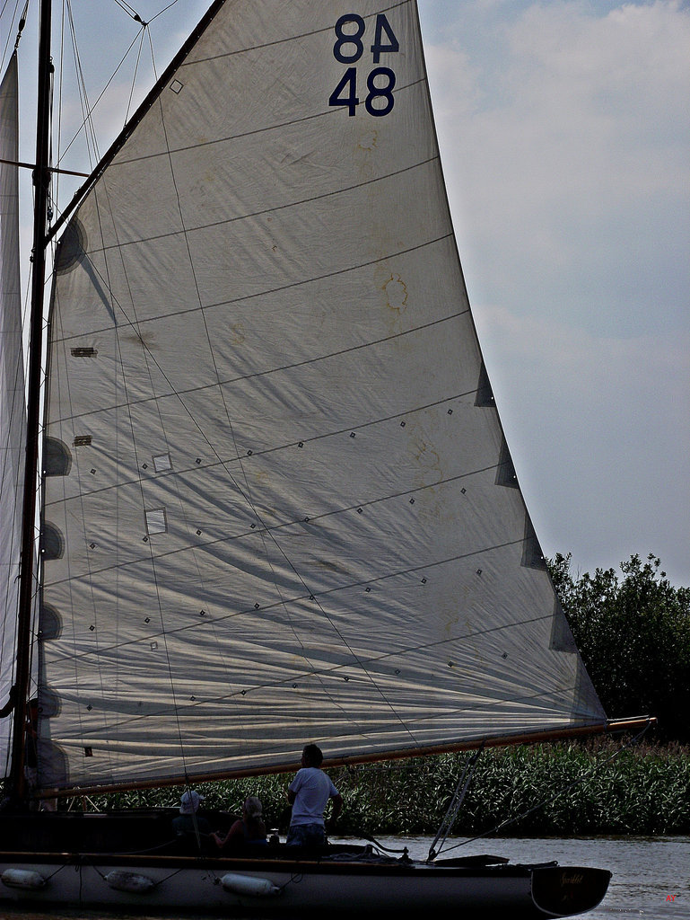 Mainsail