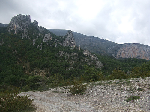DSCF3594