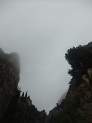 DSCF3610