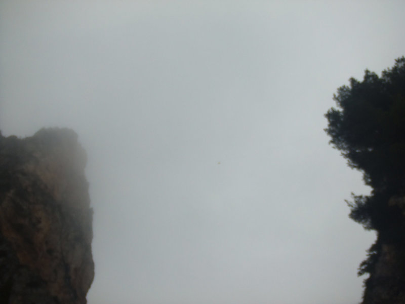 DSCF3611