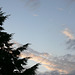 Abendstimmung
