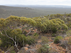 Looking north from Mt Sturt East
