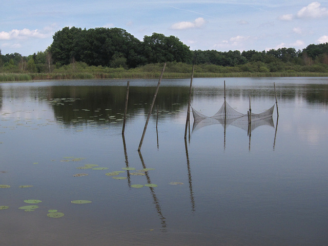 Stilleben am Kolpiner See