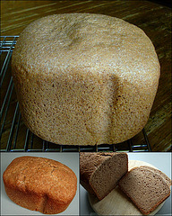 WGB Challenge # 12: (Spelt) Whole Wheat Sandwich Breads