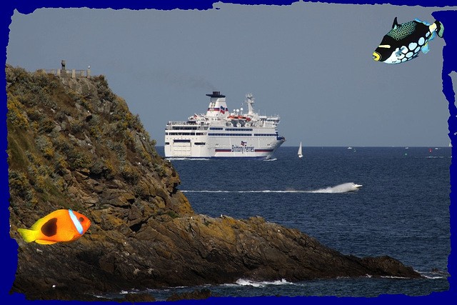 Ferry departure