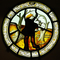 norwich castle museum glass