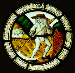 norwich castle museum glass