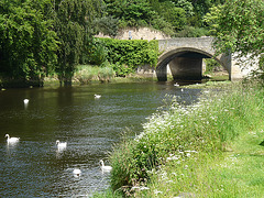 River Coquet at Warkworth