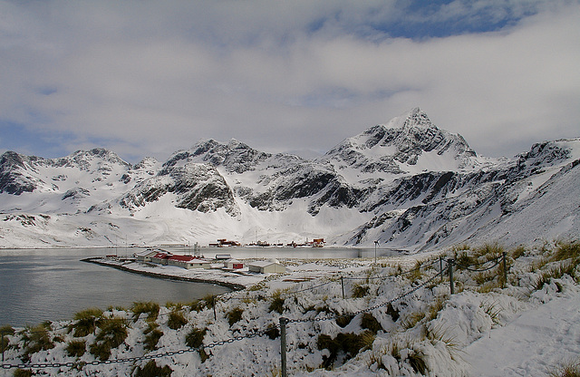 Grytviken, South Georgia