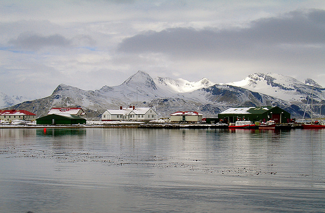Grytviken, South Georgia