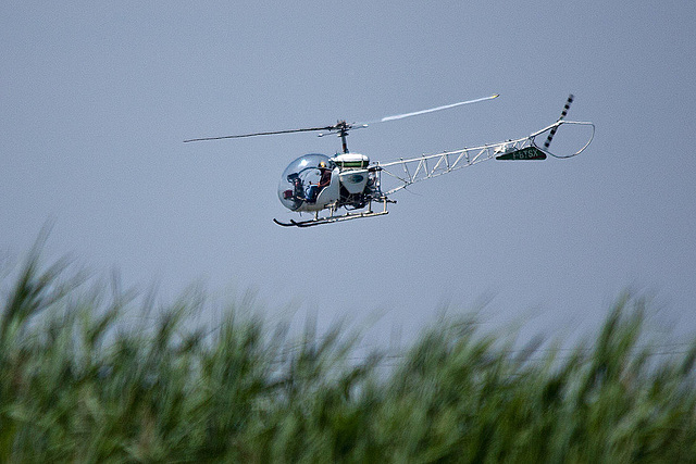 20110606 5100RTw [F] Hubschrauber [Vauvert, D179], Camargue