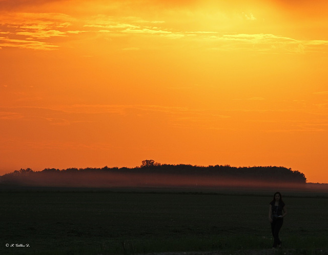 Promenade sous un ciel de feu