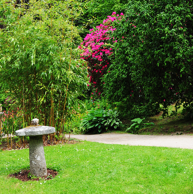 Powerscourt Japanese Gardens