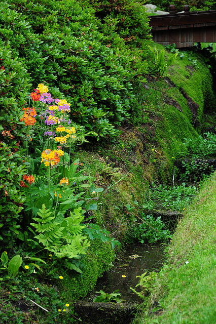 Powerscourt Japanese Gardens