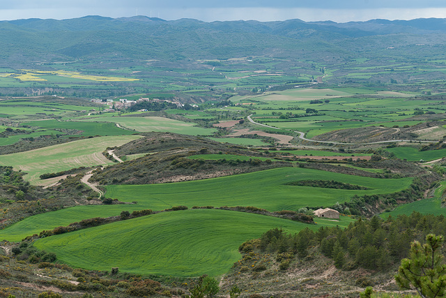 Aragón