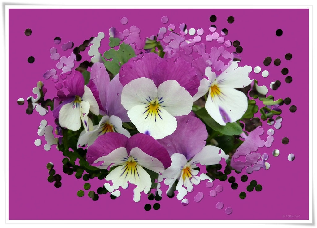 ❀broken flowers❀