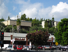 Great L.A. Walk (1153) Barnsdall Art Park