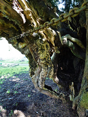 stansted church, kent