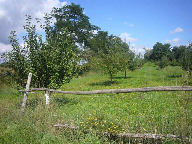 Bei uns dahoam in der Oberpfalz