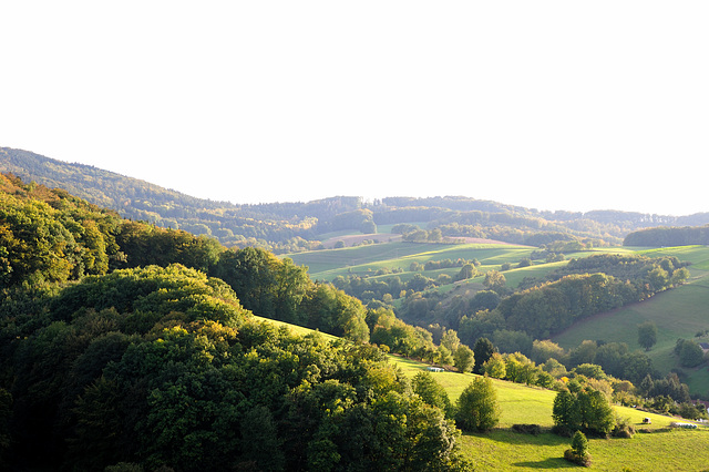 111014 Odenwald