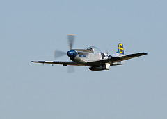 P-51D Mustang (b)