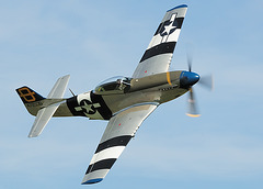 P-51D Mustang (a)