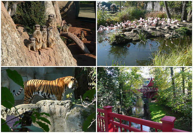 Zoo Leipzig 2011