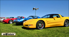 One Corvette, Two Corvette ....