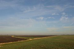 Fenland Landscape