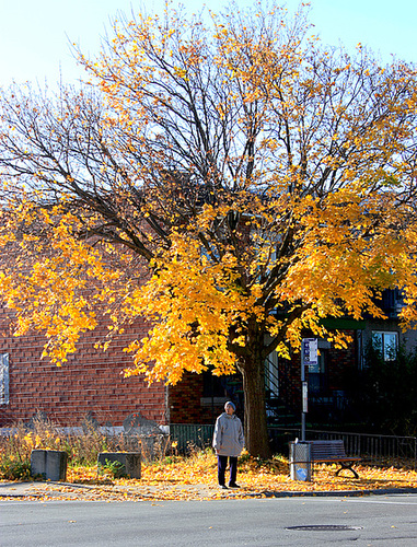 Un Otoño En New York