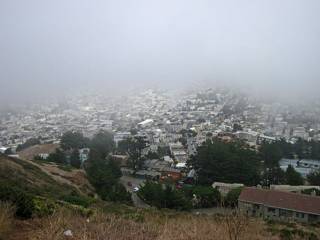 Foggy Vista (0541)