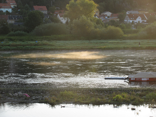 Dresden Morgennebel auf der Elbe