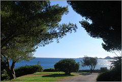 Vu du Parc Valmer à Marseille