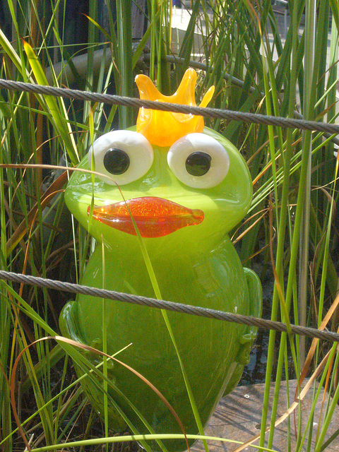 Gartenfrosch