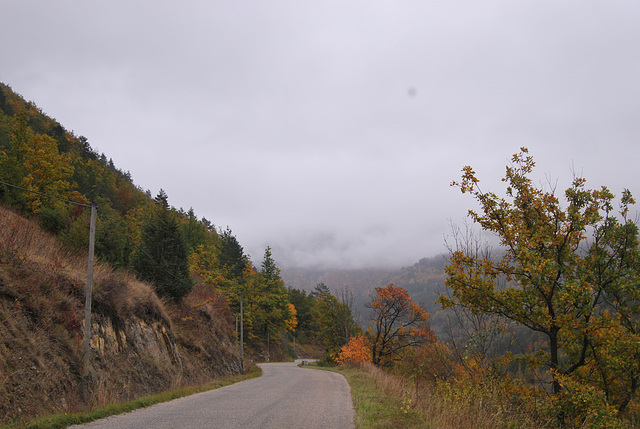 Route  d'automne