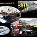 Hawker Hunter F 5 - Tangmere Museum -  6.8.2014