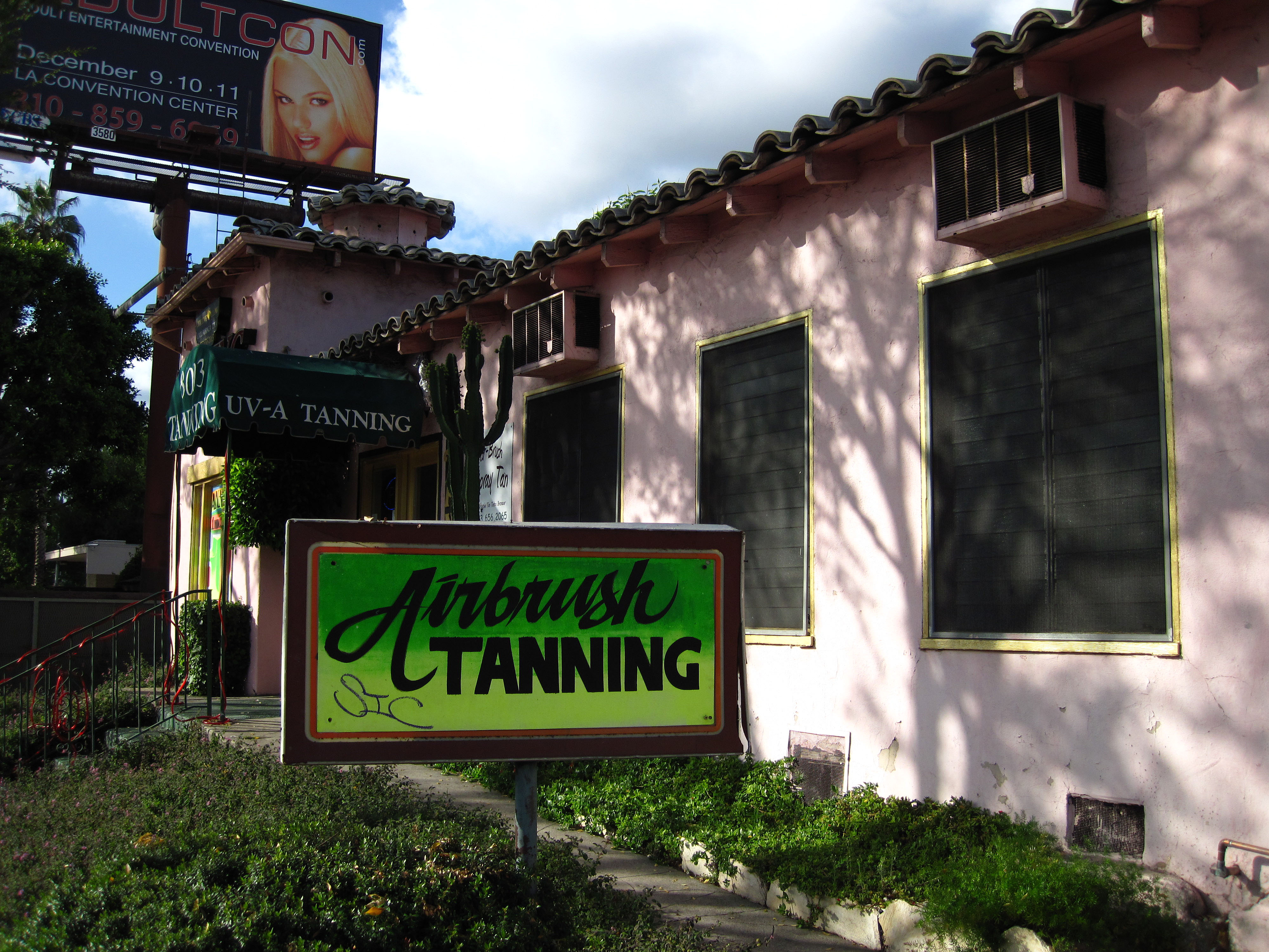 Great L.A. Walk (1421)