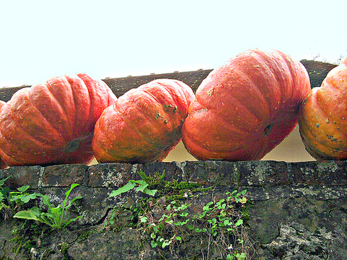 CITROUILLES