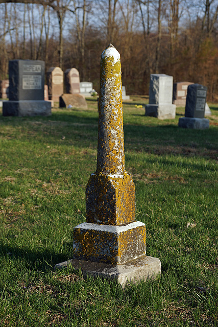 Standing Stone (Color Version)