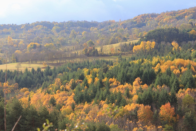 Paysage automnale (4)