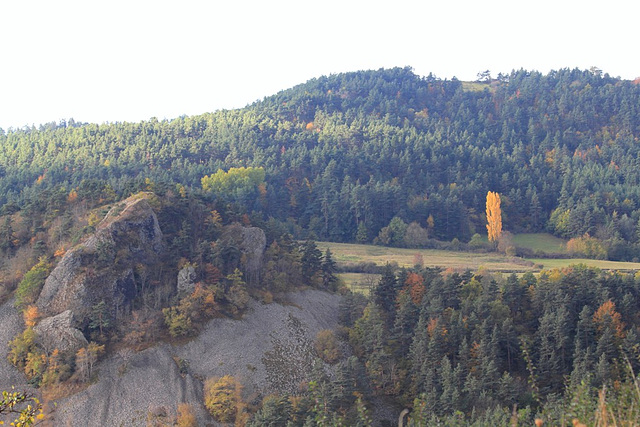 Paysage au peuplier (3)