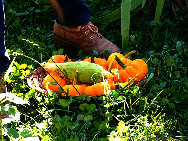 Nature autOmnale,poème autonOme