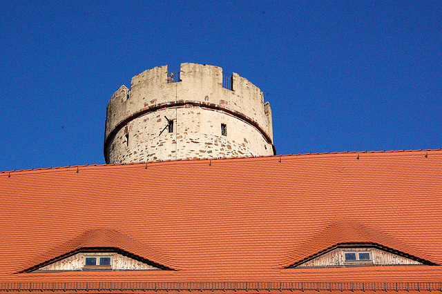 Mi, ĝi, vi kaj ni (hirundaj okuloj de tegmento)