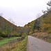 Chemin d'automne ..........sur fond noir :-))