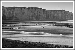 Marée basse à Veules les Roses (76)