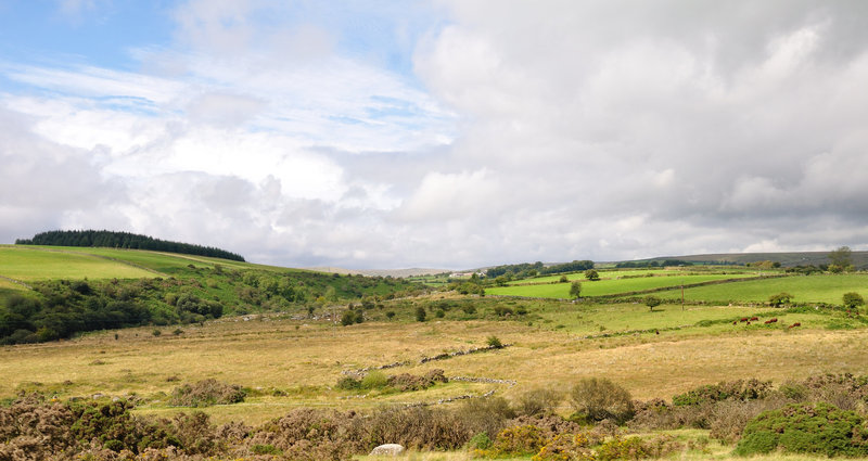 Dartmoor 110903