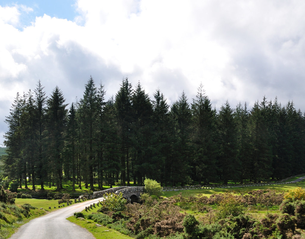 Brücke - Dartmoor 110903